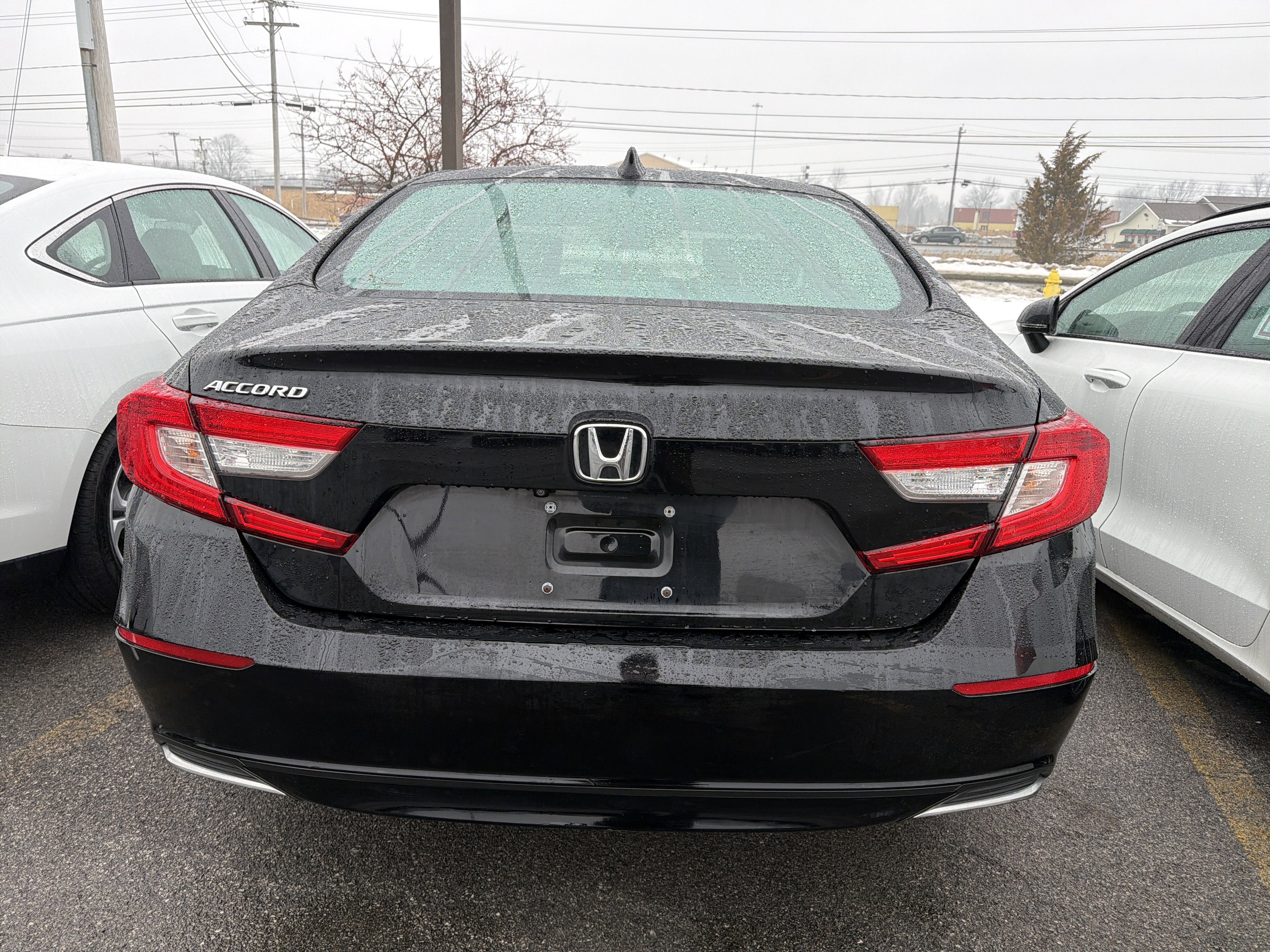 2019 Honda Accord Sedan EX-L 1.5T