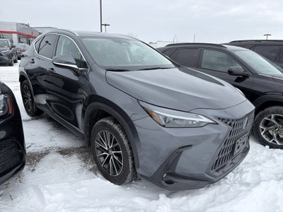 2023 Lexus NX NX 350