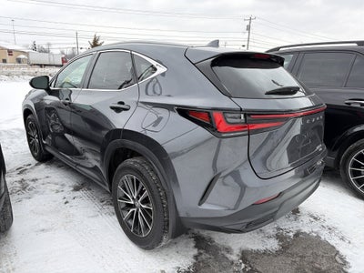 2023 Lexus NX NX 350