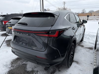 2023 Lexus NX NX 350