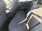 2023 Toyota Corolla Hatchback SE